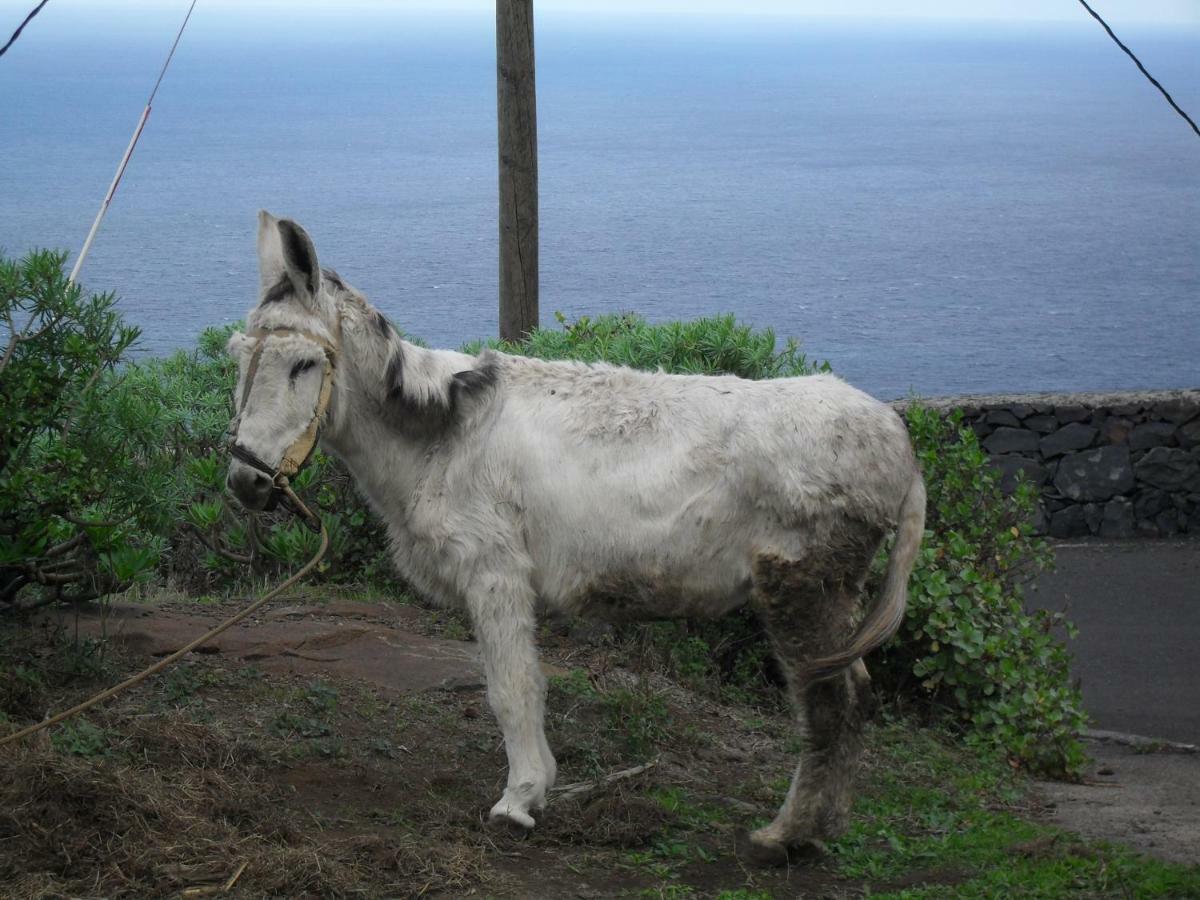 וייהרמוסו Casa Rural Arguamul מראה חיצוני תמונה